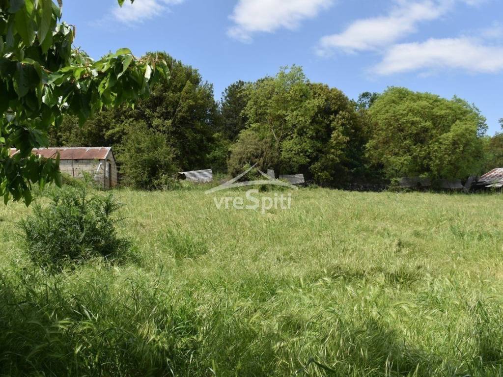 ΑΠΟΨΗ ΟΙΚΟΠΕΔΟΥ