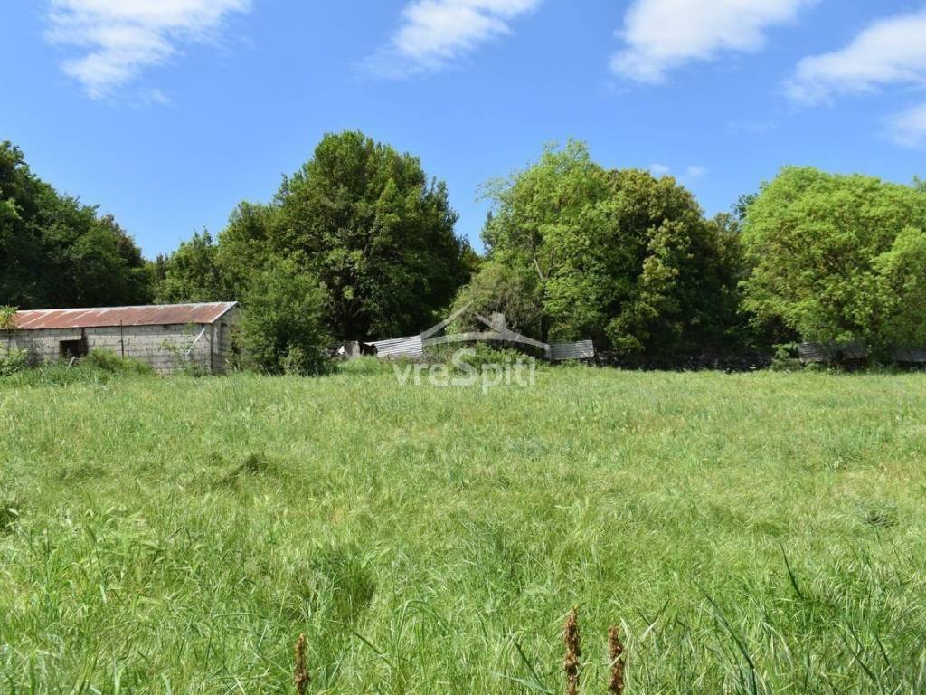 ΑΠΟΨΗ ΟΙΚΟΠΕΔΟΥ