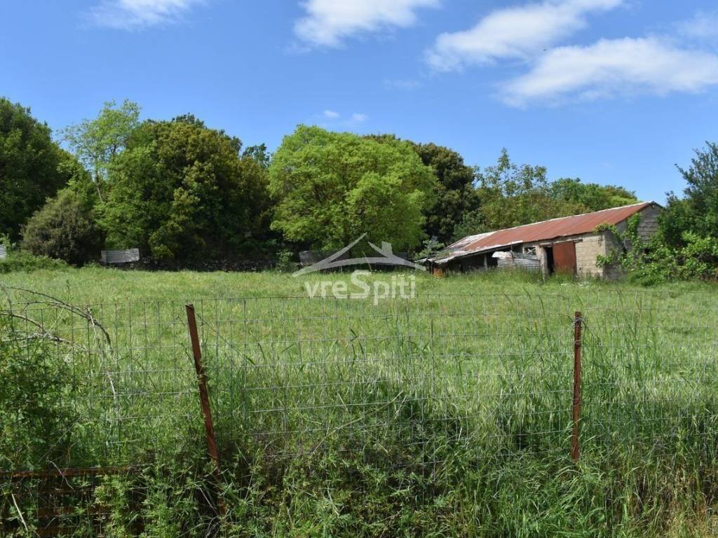 ΑΠΟΨΗ ΟΙΚΟΠΕΔΟΥ