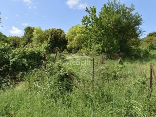 ΑΠΟΨΗ ΟΙΚΟΠΕΔΟΥ