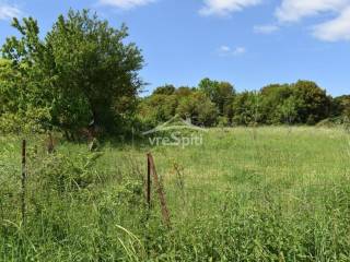 ΑΠΟΨΗ ΟΙΚΟΠΕΔΟΥ