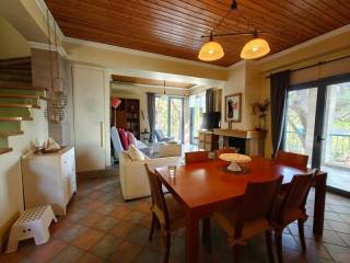 Σαλοκουζίνα