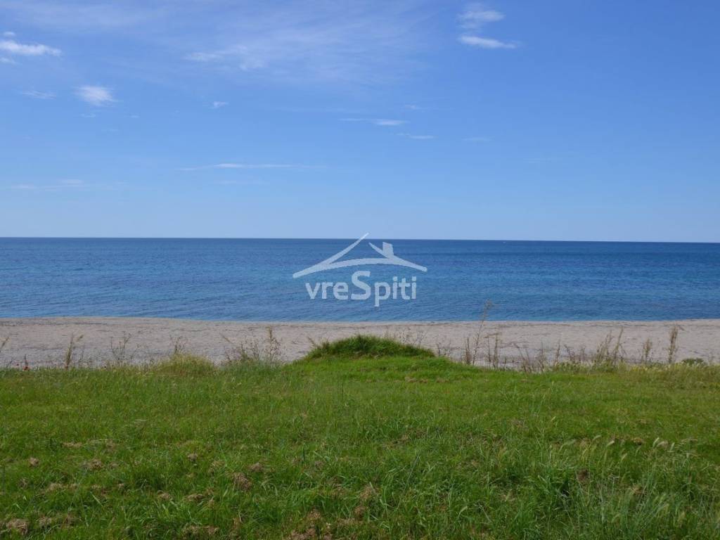 ΘΕΑ ΑΓΡΟΤΕΜΑΧΙΟΥ