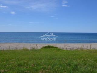 ΘΕΑ ΑΓΡΟΤΕΜΑΧΙΟΥ