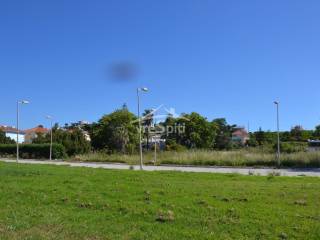 ΑΠΟΨΗ ΑΓΡΟΤΕΜΑΧΙΟΥ