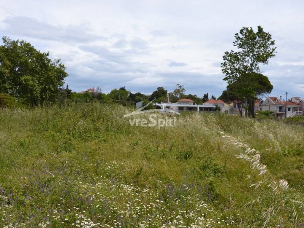 ΑΠΟΨΗ ΑΓΡΟΤΕΜΑΧΙΟΥ