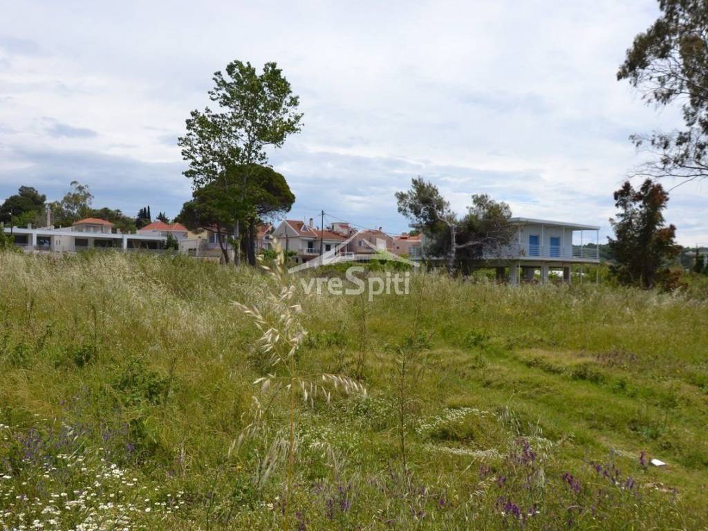 ΑΠΟΨΗ ΑΓΡΟΤΕΜΑΧΙΟΥ