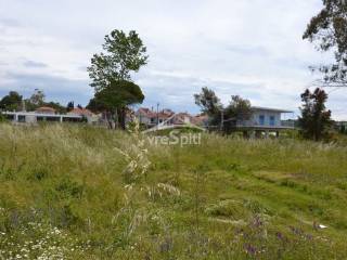 ΑΠΟΨΗ ΑΓΡΟΤΕΜΑΧΙΟΥ