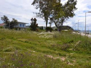 ΑΠΟΨΗ ΑΓΡΟΤΕΜΑΧΙΟΥ