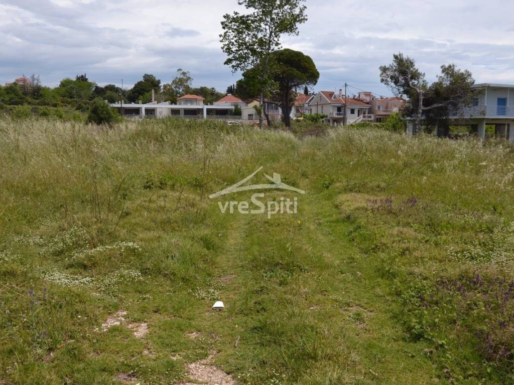 ΑΠΟΨΗ ΑΓΡΟΤΕΜΑΧΙΟΥ