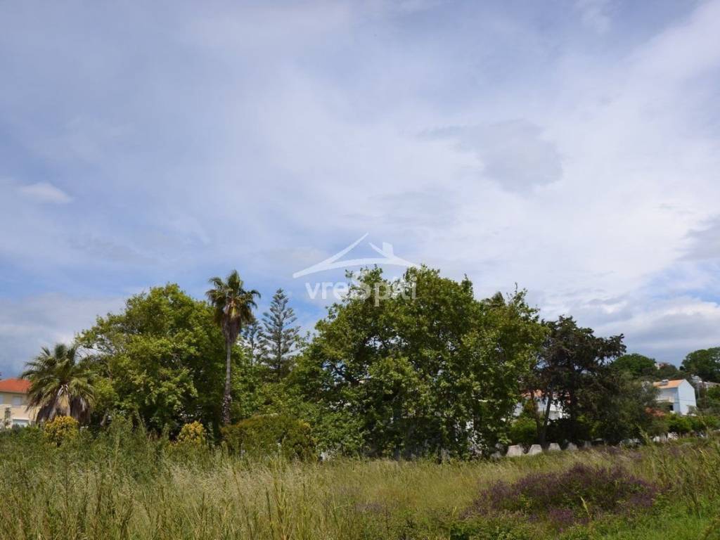 ΑΠΟΨΗ ΑΓΡΟΤΕΜΑΧΙΟΥ