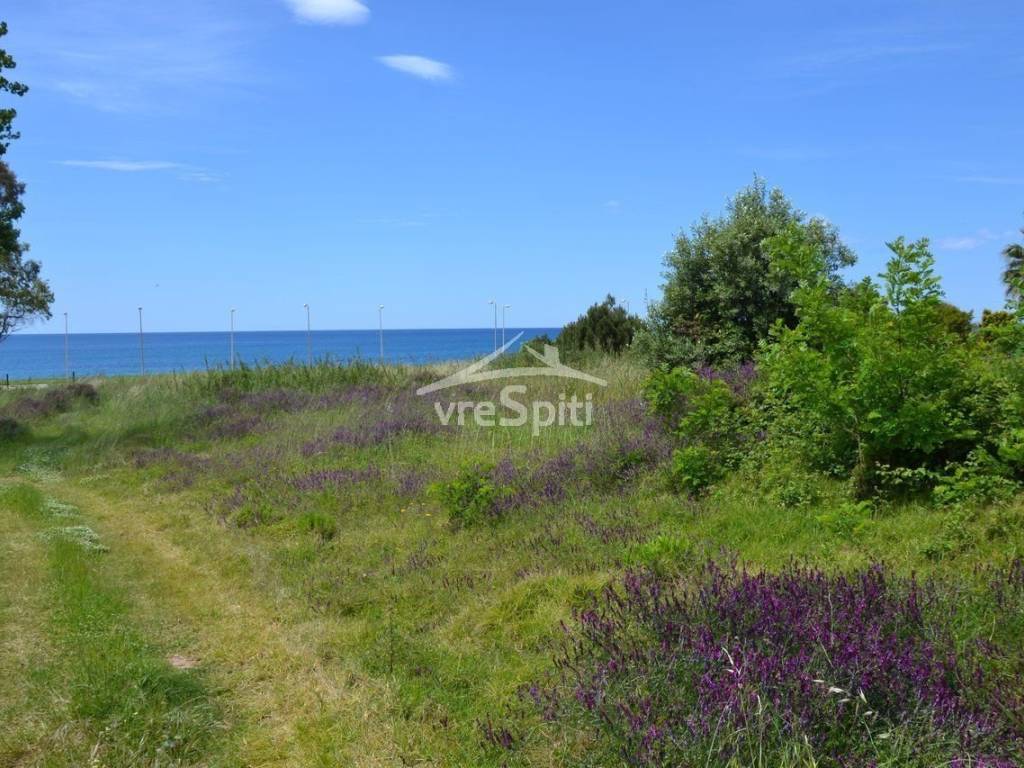 ΑΠΟΨΗ ΑΓΡΟΤΕΜΑΧΙΟΥ