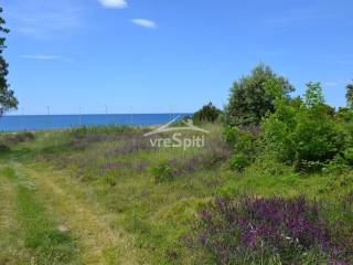 ΑΠΟΨΗ ΑΓΡΟΤΕΜΑΧΙΟΥ