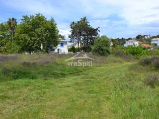 ΑΠΟΨΗ ΑΓΡΟΤΕΜΑΧΙΟΥ