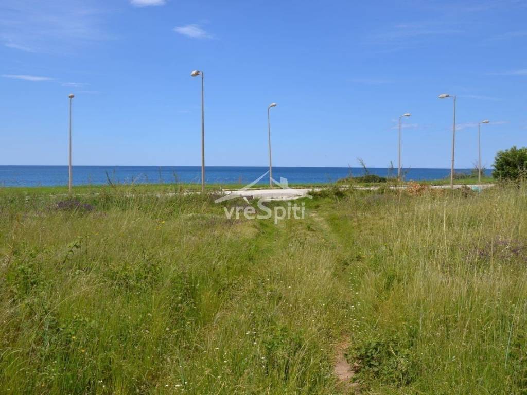 ΘΕΑ ΑΓΡΟΤΕΜΑΧΙΟΥ