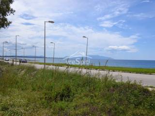 ΘΕΑ ΑΓΡΟΤΕΜΑΧΙΟΥ