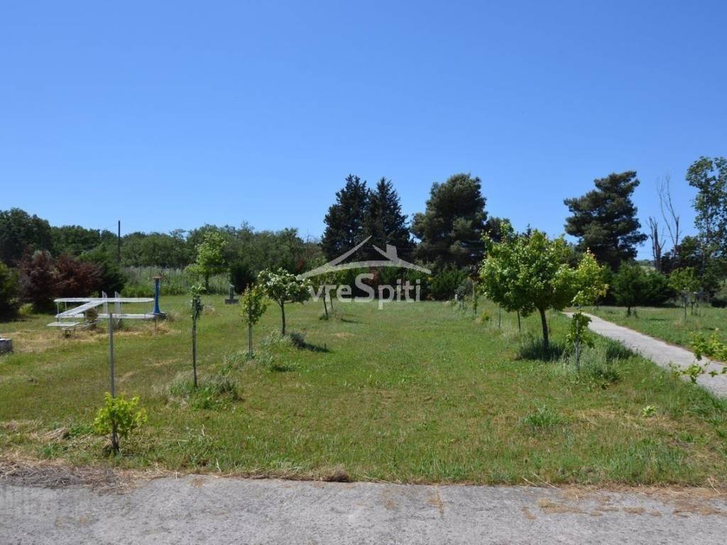 ΑΠΟΨΗ ΟΙΚΟΠΕΔΟΥ