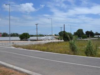 ΑΠΟΨΗ ΑΓΡΟΤΕΜΑΧΙΟΥ