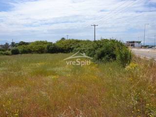 ΑΠΟΨΗ ΑΓΡΟΤΕΜΑΧΙΟΥ