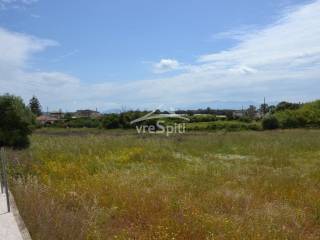 ΑΠΟΨΗ ΑΓΡΟΤΕΜΑΧΙΟΥ