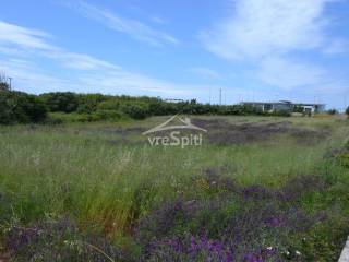 ΑΠΟΨΗ ΑΓΡΟΤΕΜΑΧΙΟΥ