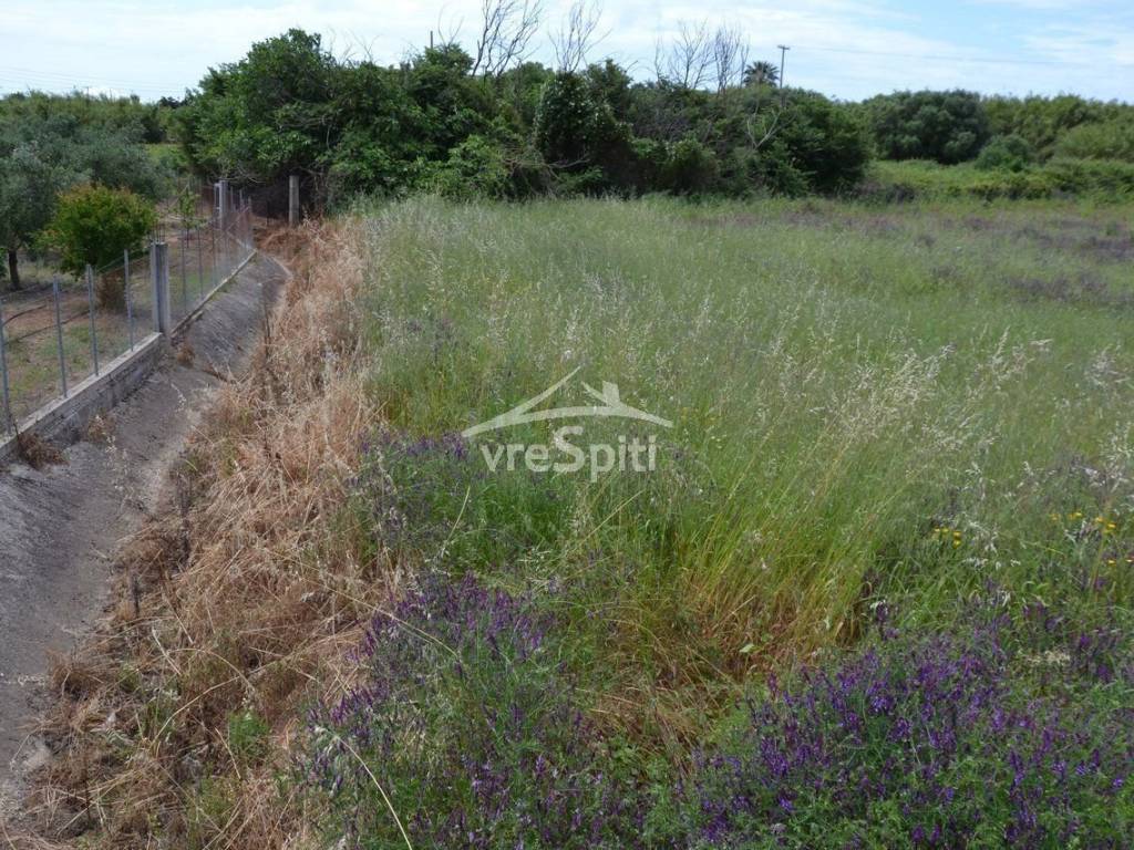 ΑΠΟΨΗ ΑΓΡΟΤΕΜΑΧΙΟΥ