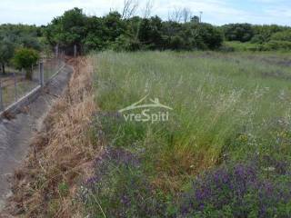 ΑΠΟΨΗ ΑΓΡΟΤΕΜΑΧΙΟΥ