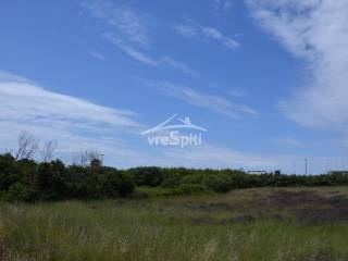 ΑΠΟΨΗ ΑΓΡΟΤΕΜΑΧΙΟΥ