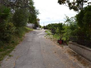 ΑΠΟΨΗ ΟΙΚΟΠΕΔΟΥ