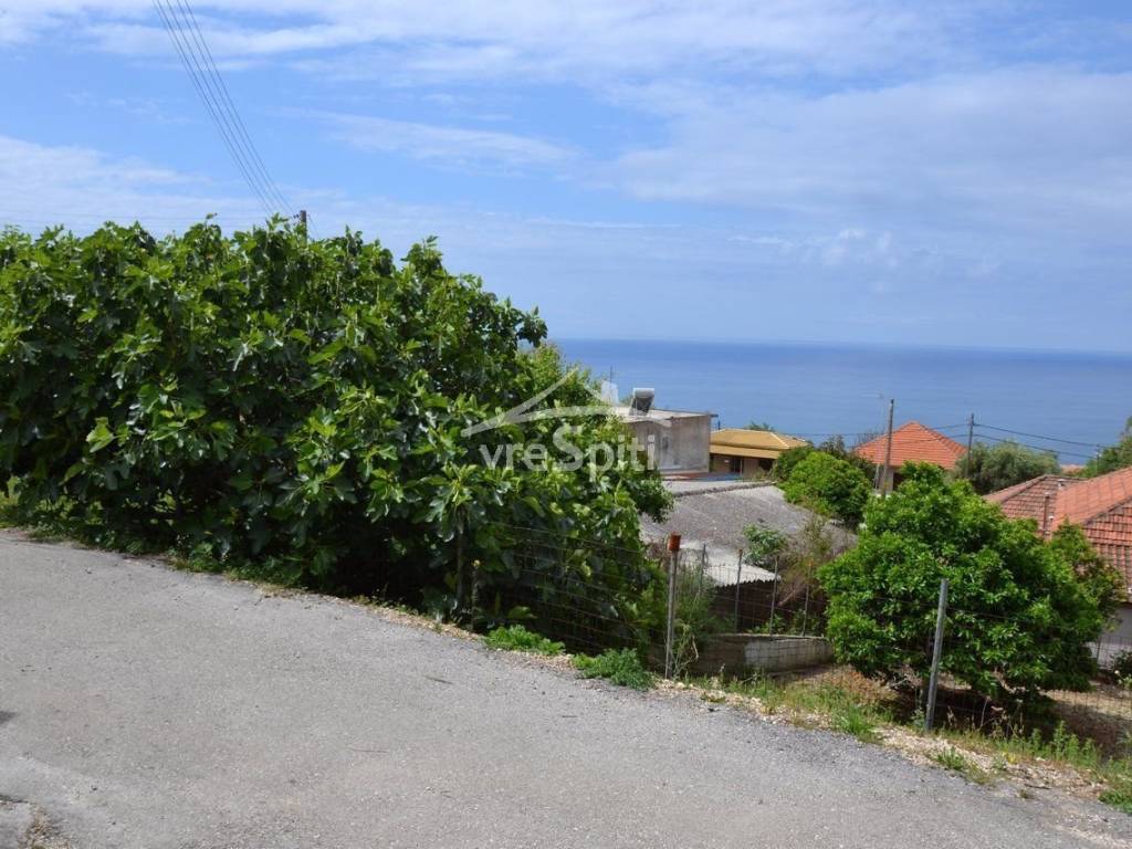 ΑΠΟΨΗ ΟΙΚΟΠΕΔΟΥ