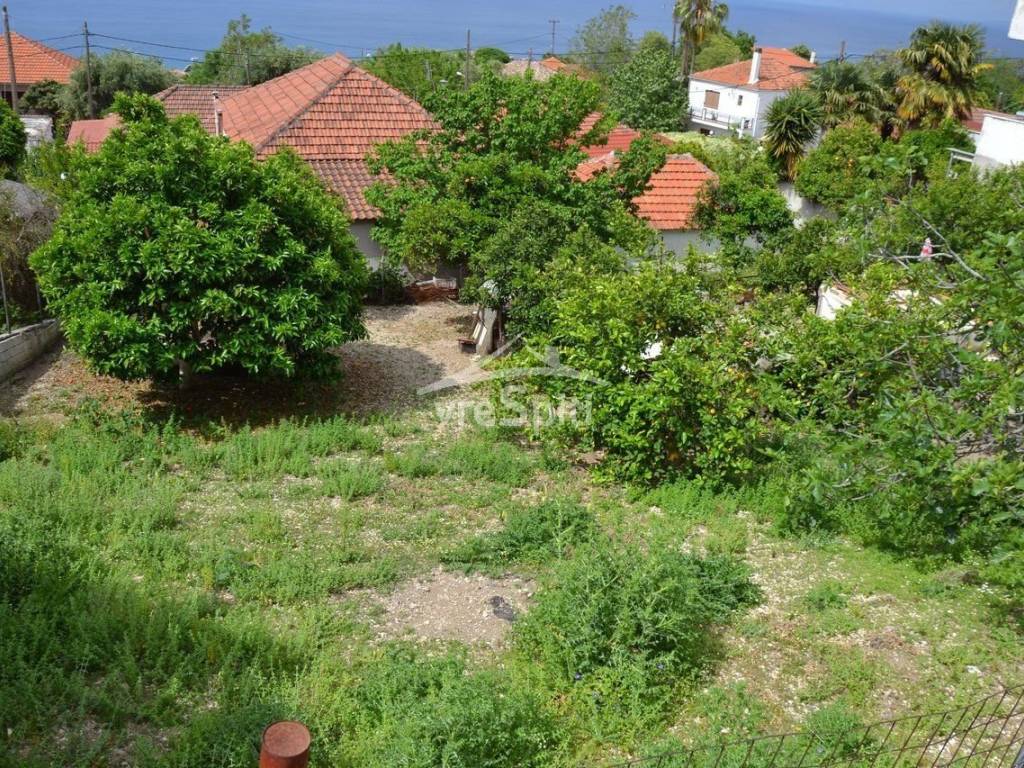 ΑΠΟΨΗ ΟΙΚΟΠΕΔΟΥ