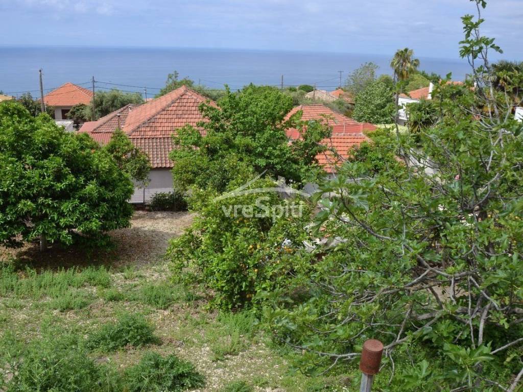 ΑΠΟΨΗ ΟΙΚΟΠΕΔΟΥ