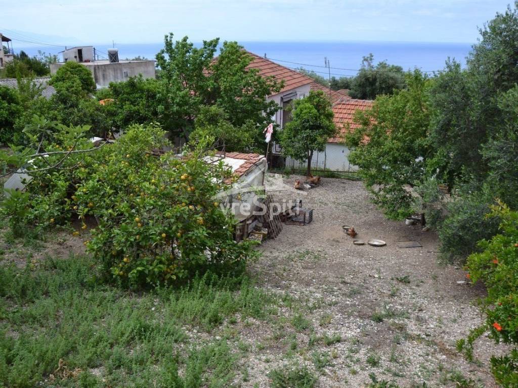 ΑΠΟΨΗ ΟΙΚΟΠΕΔΟΥ