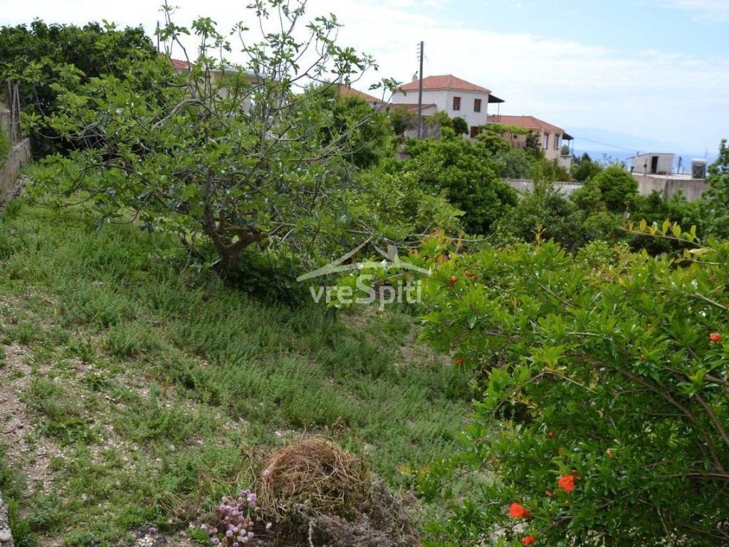 ΑΠΟΨΗ ΟΙΚΟΠΕΔΟΥ