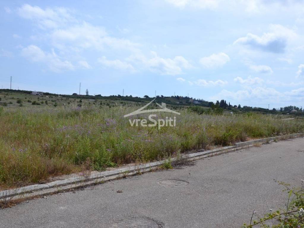 ΑΠΟΨΗ ΟΙΚΟΠΕΔΟΥ