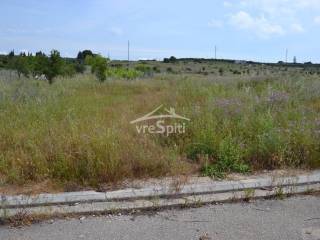 ΑΠΟΨΗ ΟΙΚΟΠΕΔΟΥ