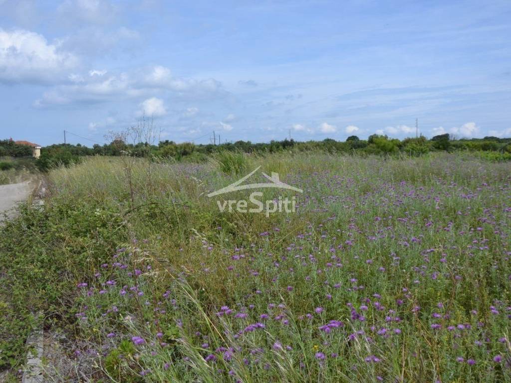 ΑΠΟΨΗ ΟΙΚΟΠΕΔΟΥ