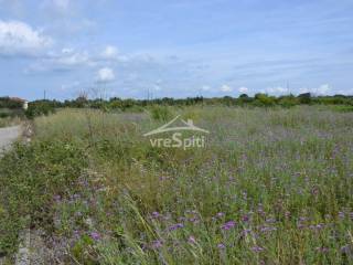 ΑΠΟΨΗ ΟΙΚΟΠΕΔΟΥ