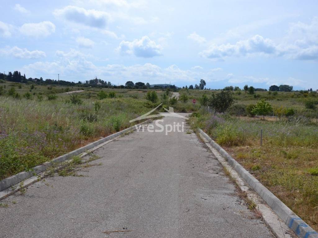 ΑΠΟΨΗ ΟΙΚΟΠΕΔΟΥ