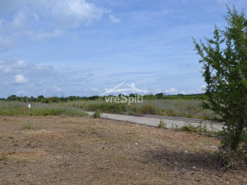 ΑΠΟΨΗ ΟΙΚΟΠΕΔΟΥ