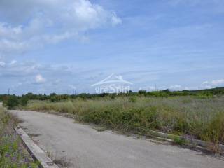 ΑΠΟΨΗ ΟΙΚΟΠΕΔΟΥ