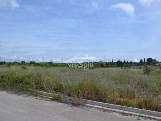 ΑΠΟΨΗ ΟΙΚΟΠΕΔΟΥ