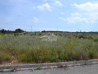 ΑΠΟΨΗ ΟΙΚΟΠΕΔΟΥ