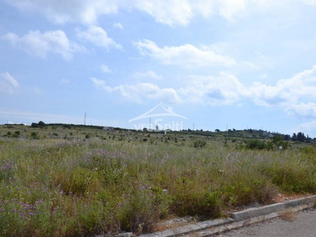 ΑΠΟΨΗ ΟΙΚΟΠΕΔΟΥ