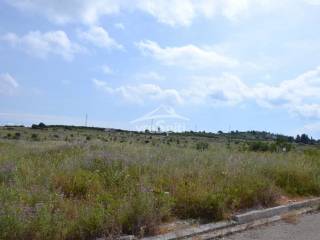 ΑΠΟΨΗ ΟΙΚΟΠΕΔΟΥ