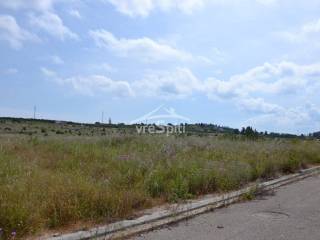 ΑΠΟΨΗ ΟΙΚΟΠΕΔΟΥ