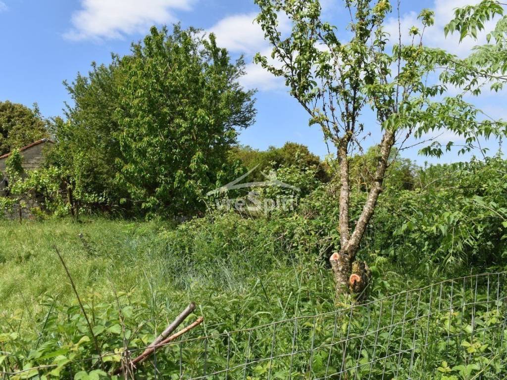 ΑΠΟΨΗ ΟΙΚΟΠΕΔΟΥ