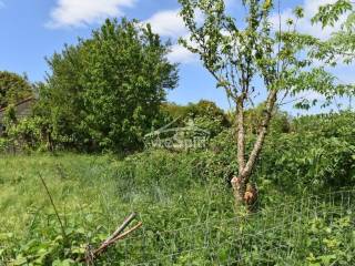 ΑΠΟΨΗ ΟΙΚΟΠΕΔΟΥ