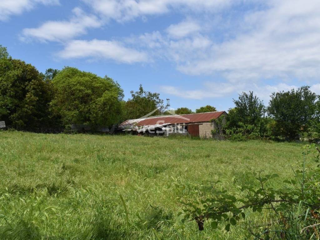 ΑΠΟΨΗ ΟΙΚΟΠΕΔΟΥ