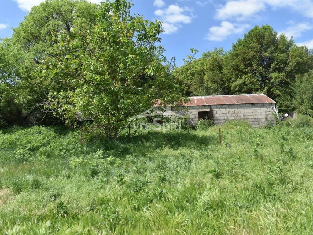 ΑΠΟΨΗ ΟΙΚΟΠΕΔΟΥ